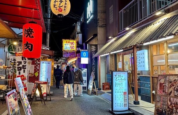 Izakaya Hopping Walking Tour from Osaka