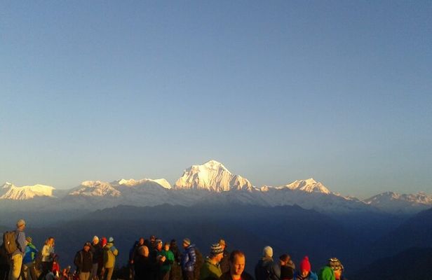 Ghorepani Poon Hill Trek: 12-Day Journey in Annapurna