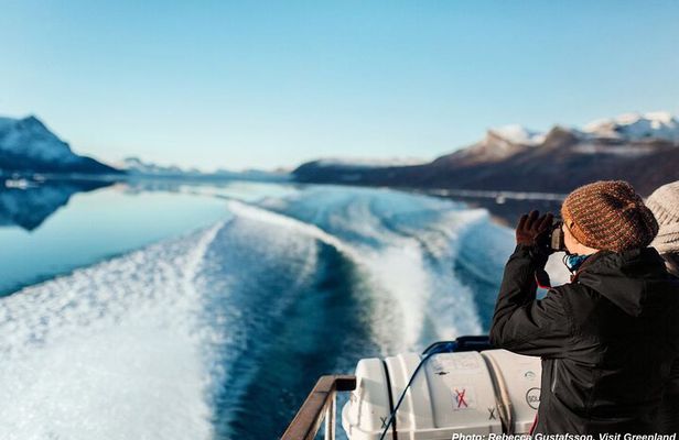 Nuuk Fjord Boat Tour with Greenlandic Picnic Experience