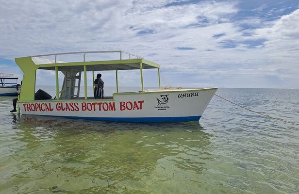 Half Day Creek Safari and Snorkeling Adventure in Mombasa