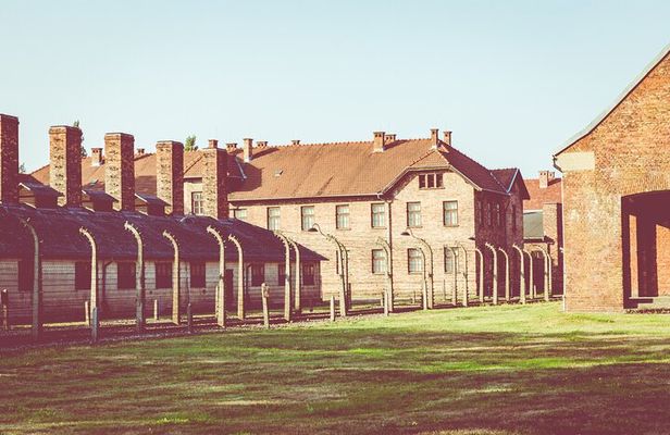 Auschwitz-Birkenau and Krakow Private Car Trip from Katowice