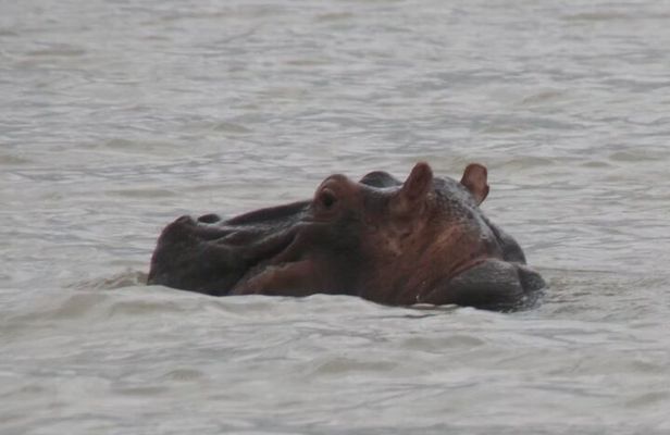 Overnight Georgetown Safari with Local Experiences