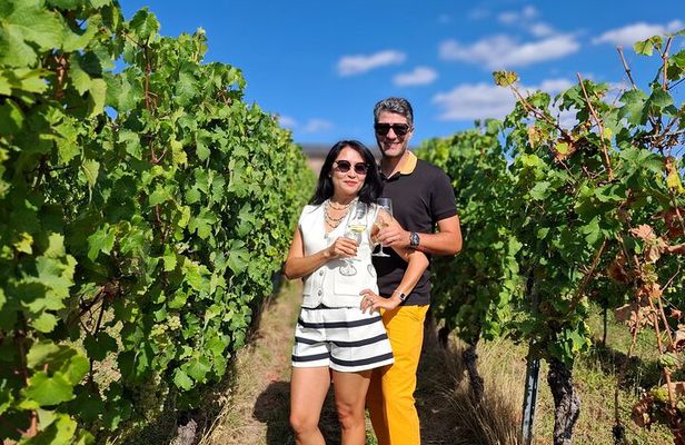 Romantic Rheingau Wine Escape