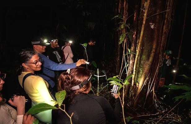 Leticia Safari 2 Days and 1 Night of Jungle and River in Floating House