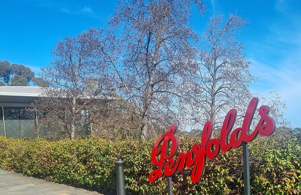 Penfolds and Hahndorf Shared Tour Wine Tasting and Lunch