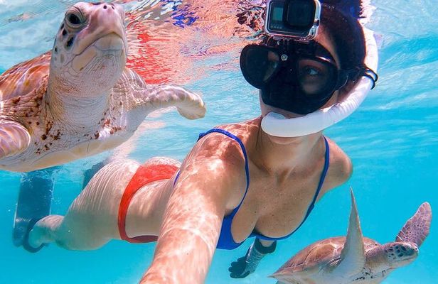 Snorkeling Adventure at Daymaniyat Islands Sharing Half Day