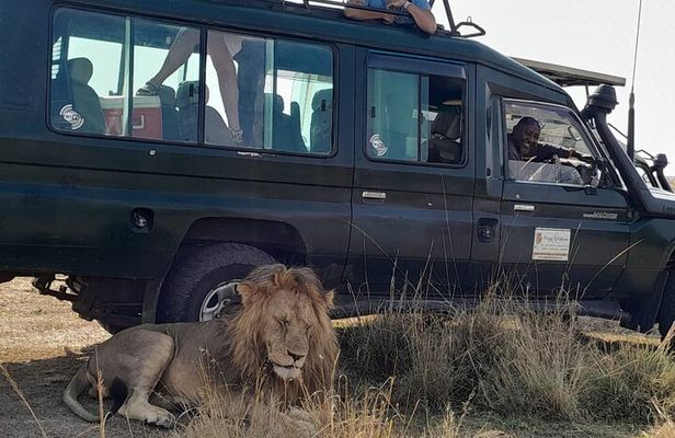 4 Day 4WD Private Masai Mara Safari with Lodge Luxury with Jeep