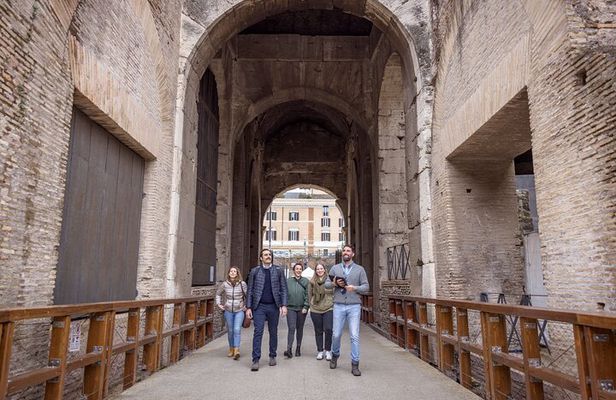 Rome: Semi-private Guided Tour of Colosseum with Arena access