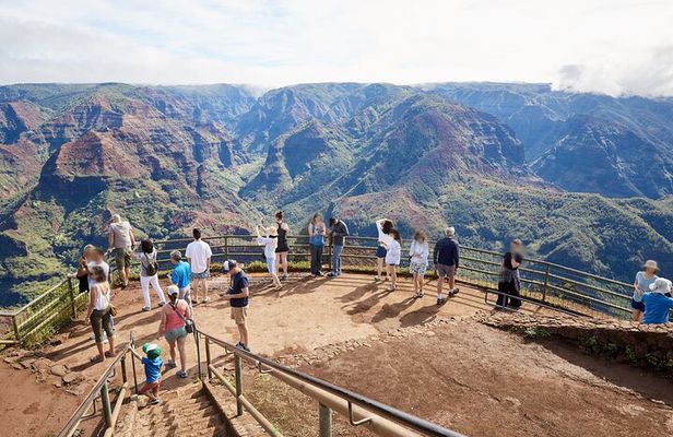 Kauai Full Day Tour with Cruise ships or Kauai Airport Pickup