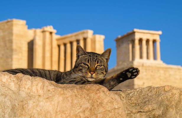 Athens: Acropolis Premium Guided Tour with Skip-The-Line Tickets
