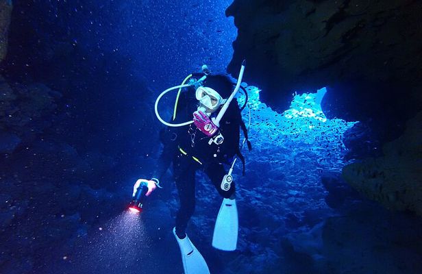 【1st】Private Diving Experience at Ishigaki Island - Novices welcome!～
