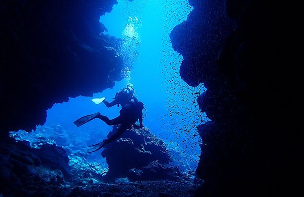 【Okinawa Post-Ishigaki Island / Sea Turtle】 Diving for 2 persons only - Novices / No License Available -