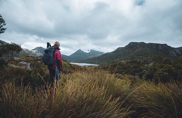 Cradle Mountain Dove Lake Day Tour from Launceston with Lunch