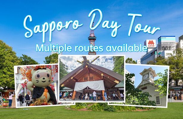 Sapporo Full-Day Tour by Minivan