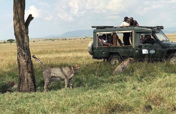 3 Days Maasai Mara Private Safari