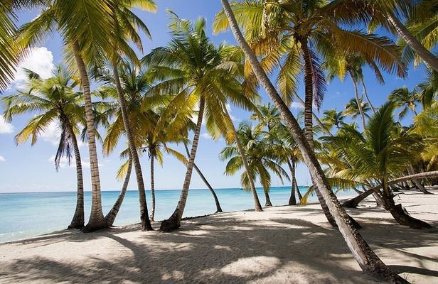 Saona Island Tour
