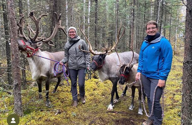 45 Minute Private Reindeer Tour