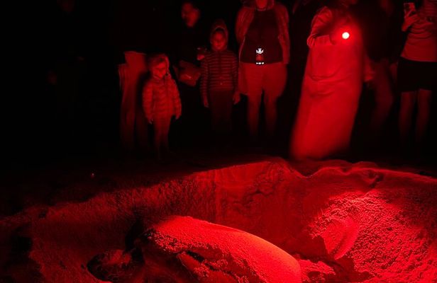 8 Days Experience Oman Nature and culture with an Omani Guide-4WD