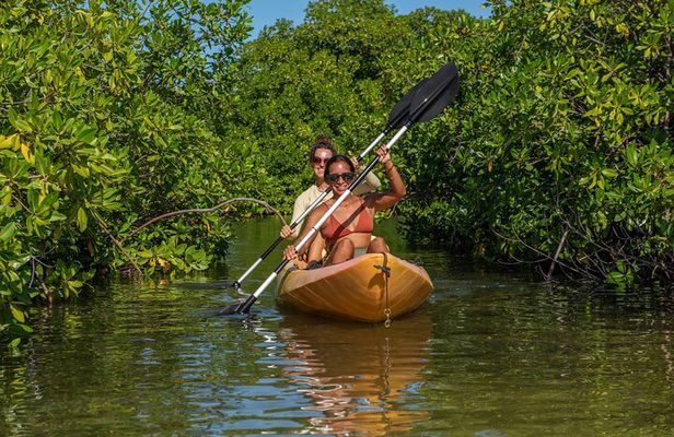1 Hour Mangrove Kayak Tour