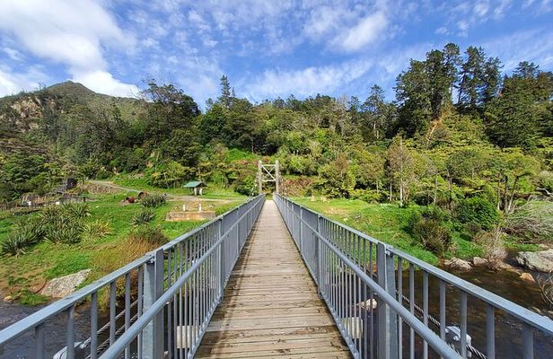 Small Group Tour To Karangahake Gorge & Waihi Gold Exploration
