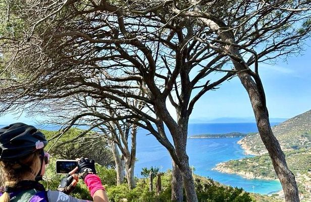Unforgettable Bike Tours and Trekking on the Island of Elba