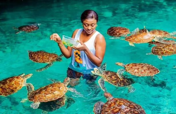 Luxury Tour to SALAAM CAVE and THE ROCK RESTAURANT 