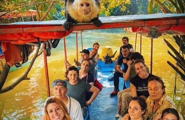 Monkey Mangrove Boat Tour in Manuel Antonio Costa Rica