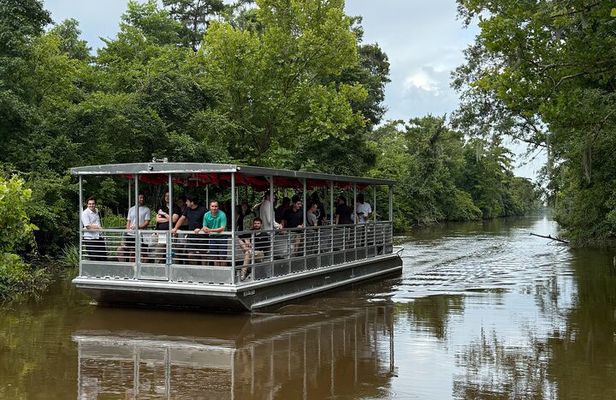 Covered Boat Swamp Tour