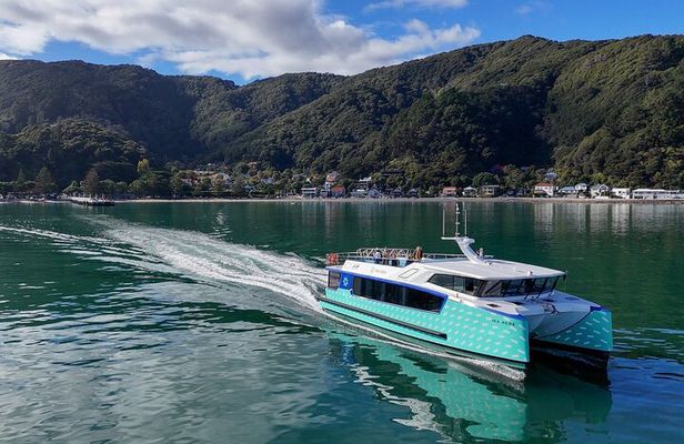 Wellington 90 minute Harbour Cruise