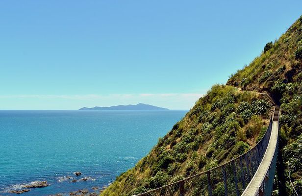 Kāpiti Coast: Escarpment Track Guided Hiking Tour, Coffee + Lunch