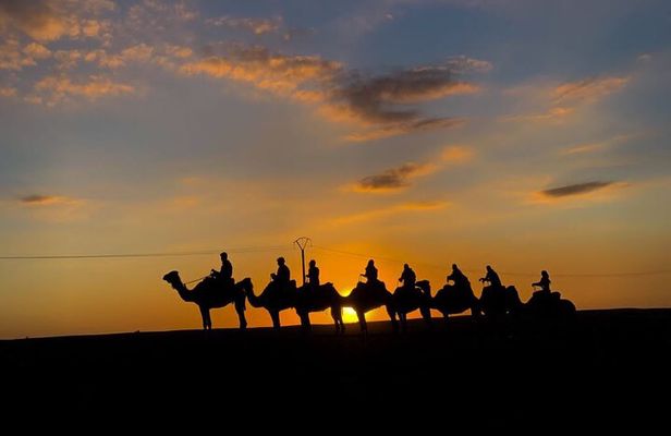 Camel Riding Experience in Agafay Desert with dinner & sunset 
