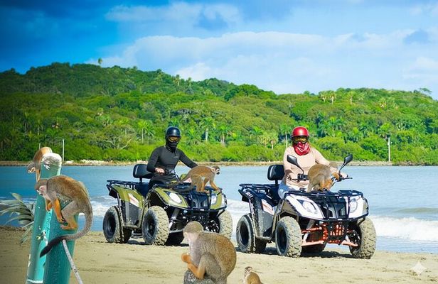 Combo: Adventure in ATV and Monkeys