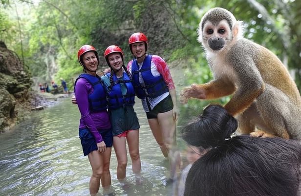 Combo : Damajagua and Monkey Sanctuary with Typical Lunch