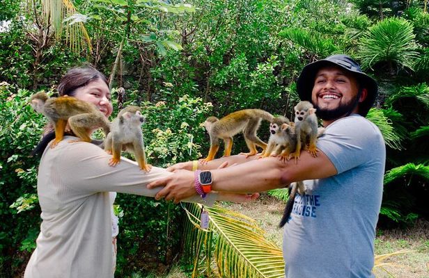 3x1: Monkeyland Waterfalls and Buggy Tour Puerto Plata