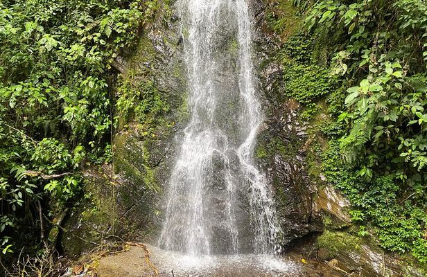 Hiking through the Cocora Valley Waterfalls