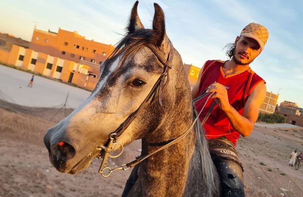 Horse Riding Silent Disco Beach Experience Sidi Kaouki ESSAOUIRA