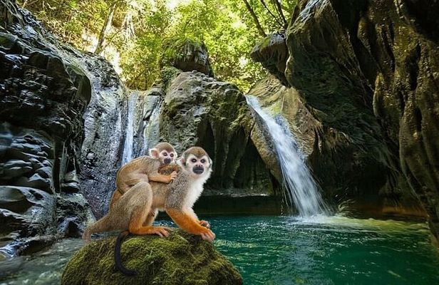 Combo : Damajagua and Monkeys Group Tour in Puerto Plata