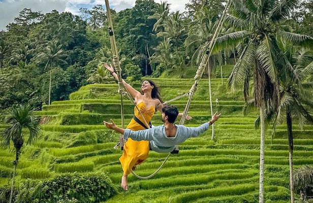 Ubud Monkey Forest - Rice Terrace - Jungle Swing - Water Temple