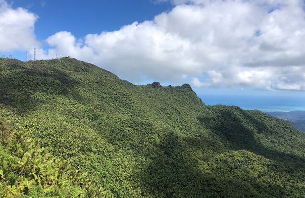 Explore El Yunque National Forest Guided Nature Adventure