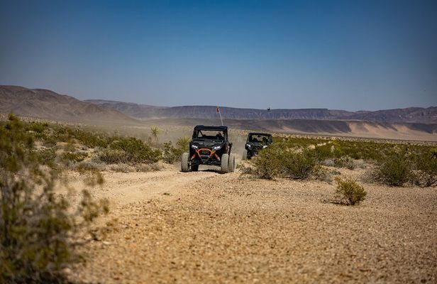 Guided Mojave Desert Off Road RZR Adventure