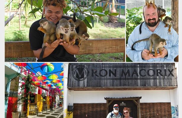 Interaction with Monkey Tour & city tour in Puerto Plata