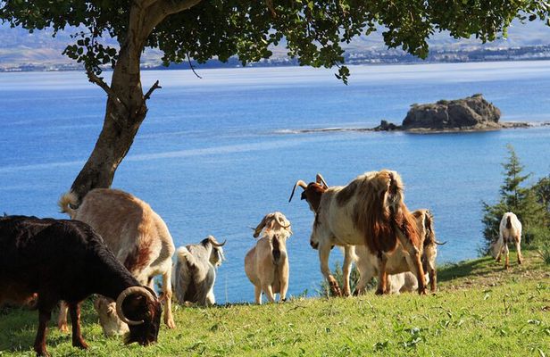 The Akamas Peninsula EcoTour Adventure