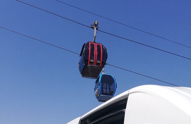 Goat on Tree and Cable Car Experience with Agadir Market