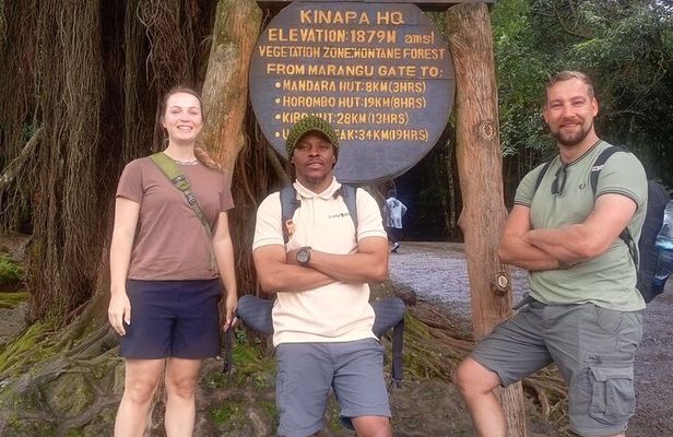 Mount Kilimanjaro Day Hike via Marangu Route – No Hidden Fees