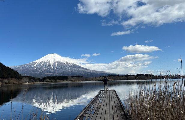 Shimizu Port Private Car Tour – Mt. Fuji & Local Highlights