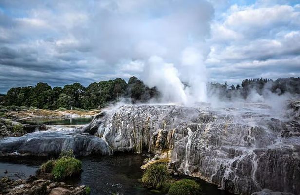 Auckland: Rotorua Te Puia & Maori Village Tour with Haka 