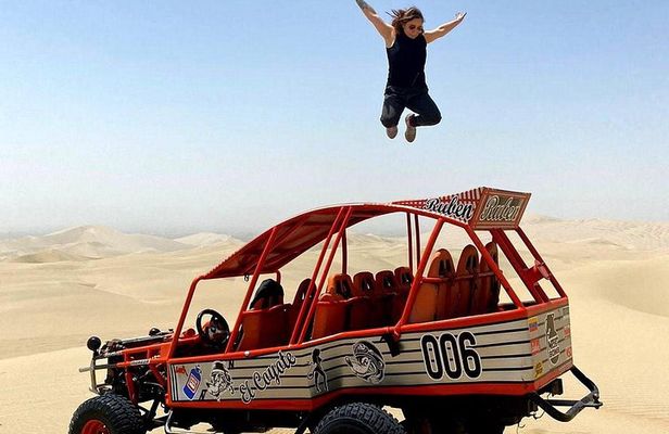 Tour Paracas Huacachina Full day