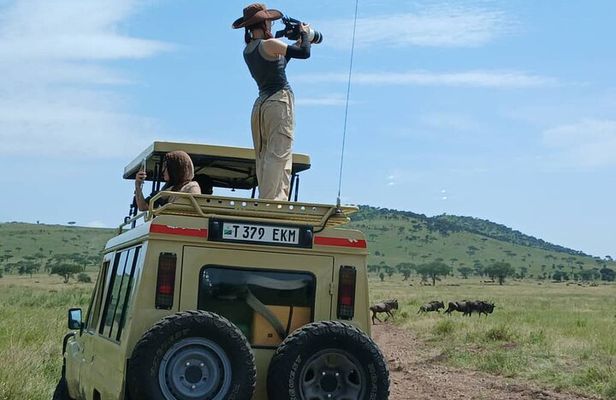 7 Day Tanzania Safari Adventure Serengeti and Ngorongoro