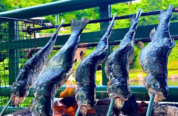 Trout Fishing Tour Near Tokyo with English-Speaking Guide