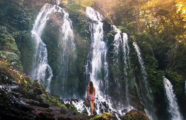 Discover Hidden Bali Waterfalls in Private All Inclusive Tour